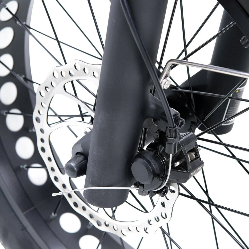 Nakto F2 and F2 Plus Electric Bike - 48V, 750W peak, 16Ah, range 60 miles, max speed 28 mph, max load 400 lbs., banana seat - Image 15