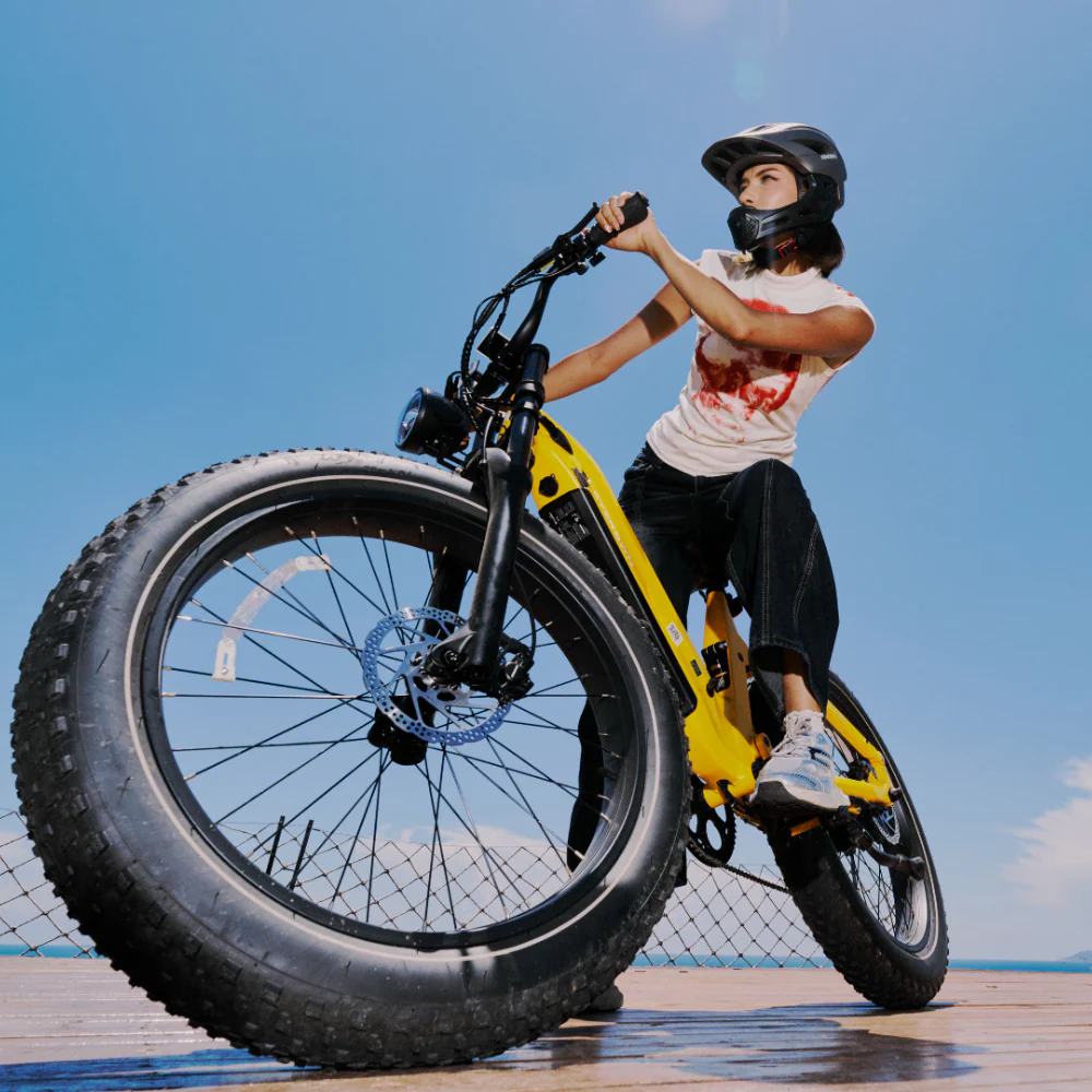 Cycrown Roma All-Terrain Fat Tire Electric Bike - 48V 20Ah 750W (1500W peak), Shimano 8-speed, full suspension, hydraulic brakes - 100% Financing Available! - Image 22