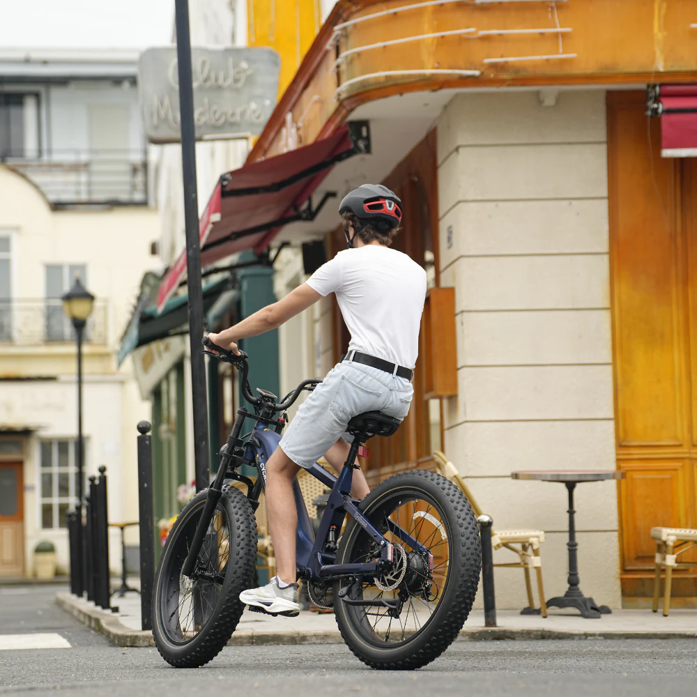 Cycrown Roma All-Terrain Fat Tire Electric Bike - 48V 20Ah 750W (1500W peak), Shimano 8-speed, full suspension, hydraulic brakes - 100% Financing Available! - Image 9